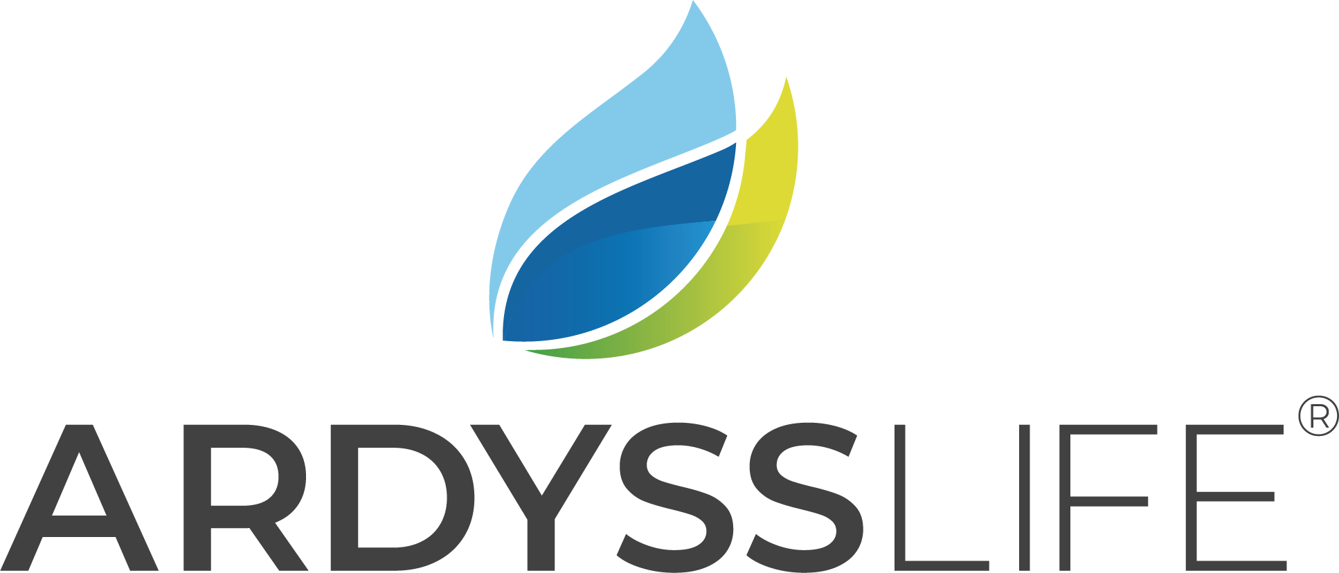 Yoga Home Ardysslife